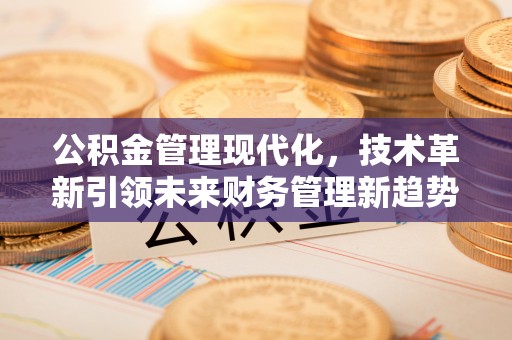 鹤庆公积金管理现代化，技术革新引领未来财务管理新趋势