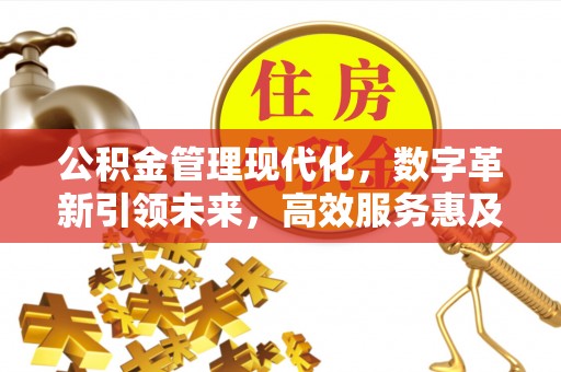 鹤庆公积金管理现代化，数字革新引领未来，高效服务惠及民生