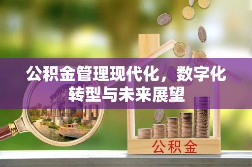 鹤庆公积金管理现代化，数字化转型与未来展望
