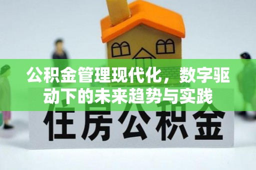 鹤庆公积金管理现代化，数字驱动下的未来趋势与实践