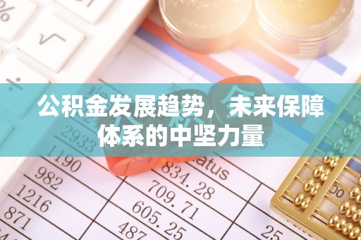鹤庆公积金发展趋势，未来保障体系的中坚力量
