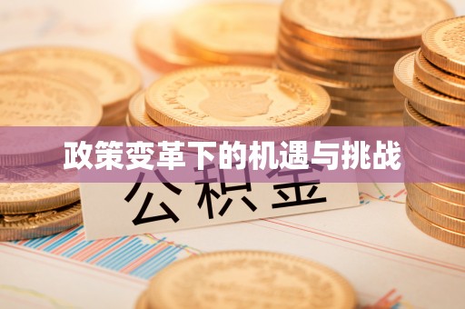 鹤庆政策变革下的机遇与挑战
