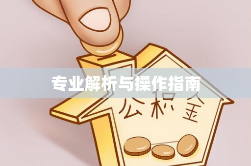鹤庆专业解析与操作指南