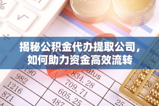 鹤庆揭秘公积金代办提取公司，如何助力资金高效流转