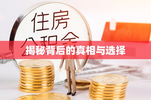 鹤庆揭秘背后的真相与选择