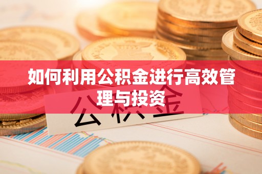 鹤庆如何利用公积金进行高效管理与投资