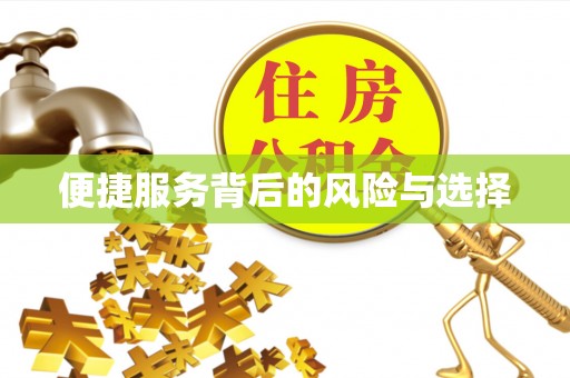 鹤庆便捷服务背后的风险与选择