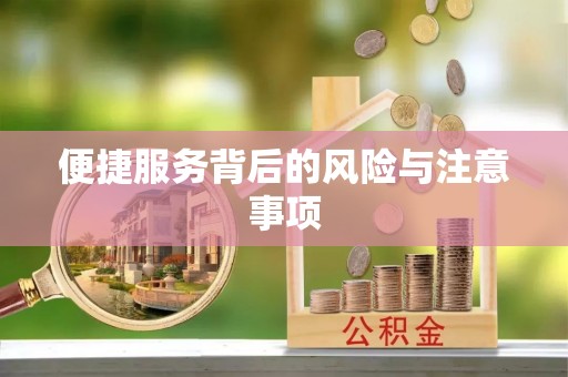 鹤庆便捷服务背后的风险与注意事项