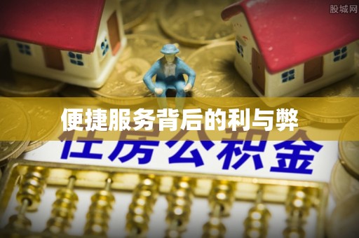鹤庆便捷服务背后的利与弊