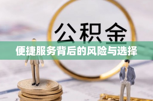 鹤庆便捷服务背后的风险与选择
