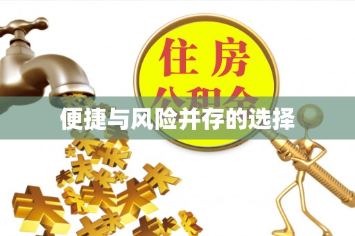 鹤庆便捷与风险并存的选择