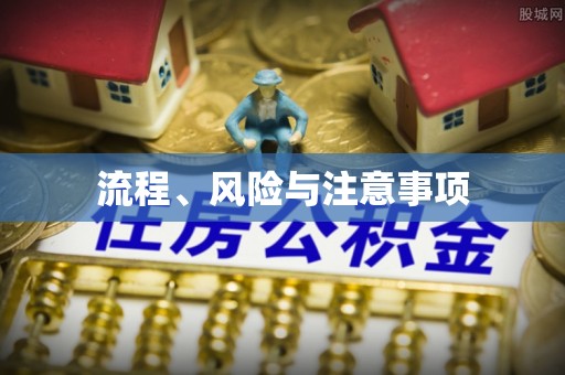 鹤庆流程、风险与注意事项